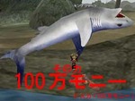 f02.jpg
